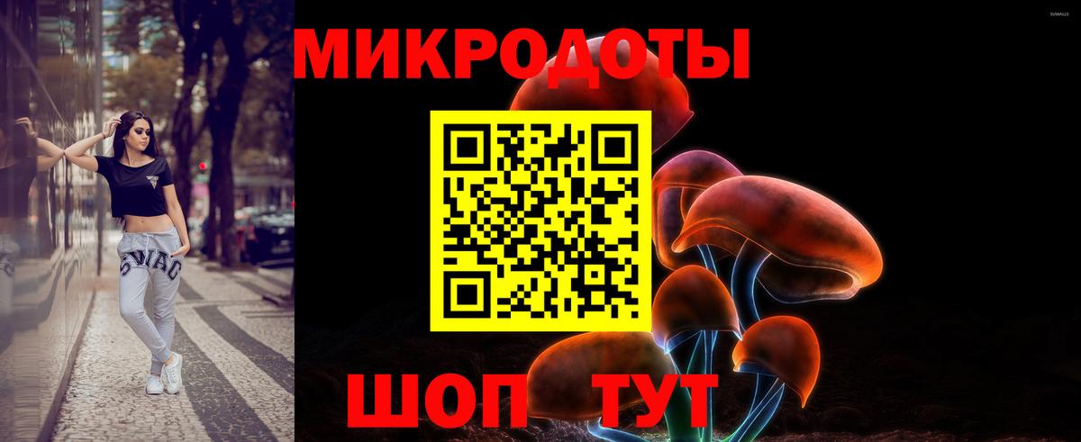 Сланцы  Галлюциногенные грибы GOLDEN TEACHER  Вход с VPN  купить наркотики сайты  Псилоцибиновые грибы ЛСД 