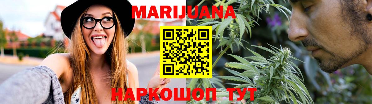 Бошки Шишки планчик Сланцы